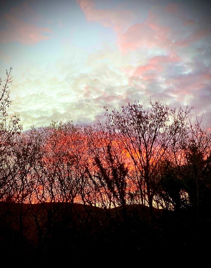 View From My Kitchen Window Love Mornings Like This 🥰