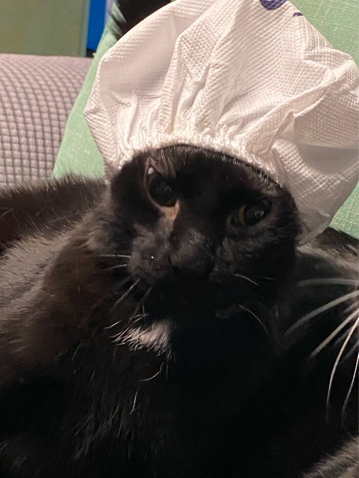 Niko. That’s A Protective Cap From A Rug I Ordered. Looks Like A Little Shower Cap