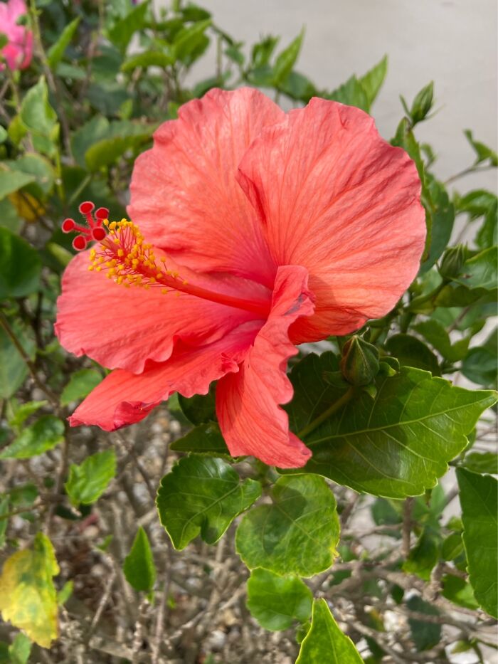 Another Day In Paradise