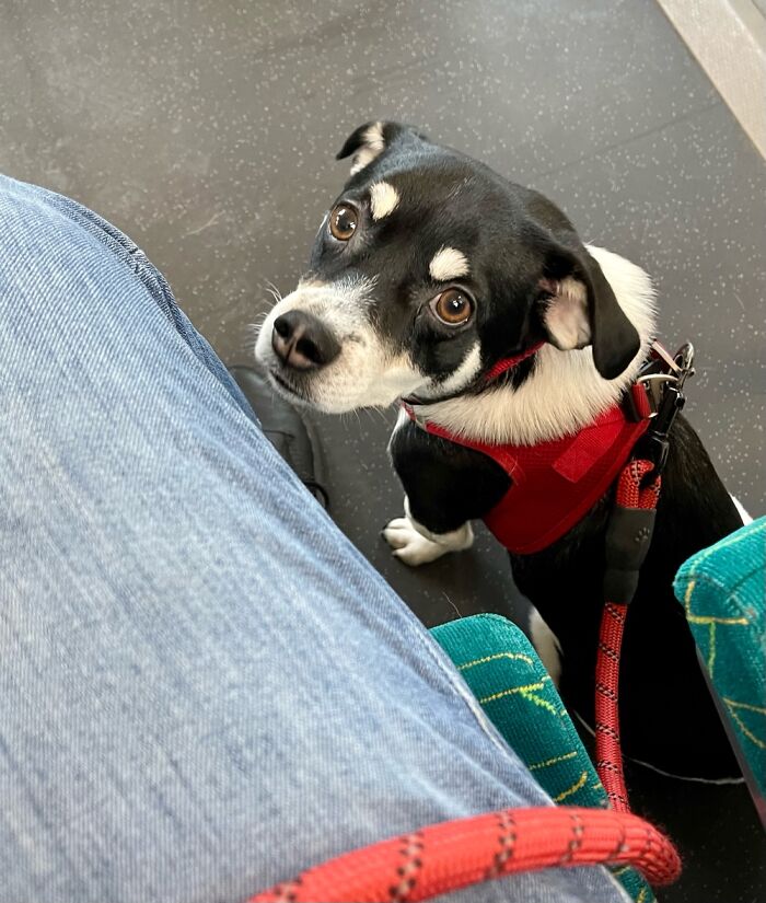 Kento On Our Train Ride To Work