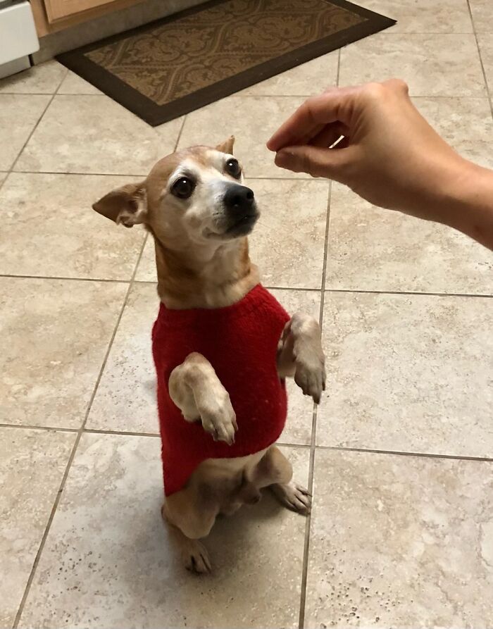 Eyes On The Treat…eyes On The Treat…