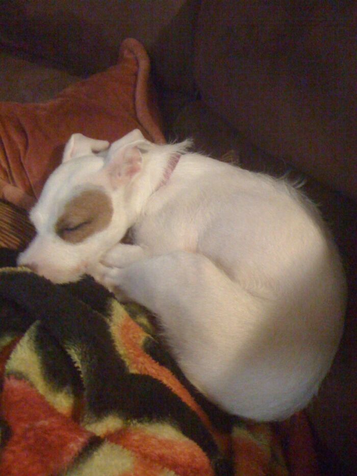 This Is From The Week We Adopted Angel. Forgot I Had This. Thanks!