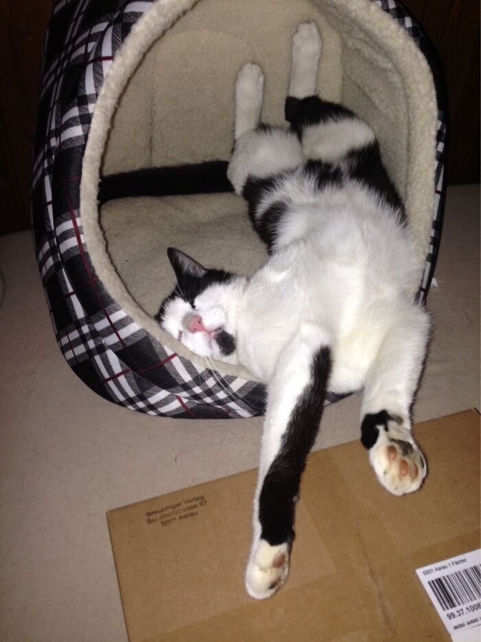 So Comfy 🤦🏽‍♀️