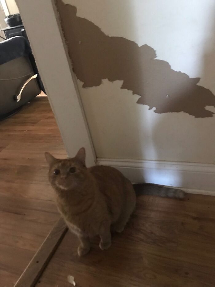 She’s Just A Tad Bit Destructive..