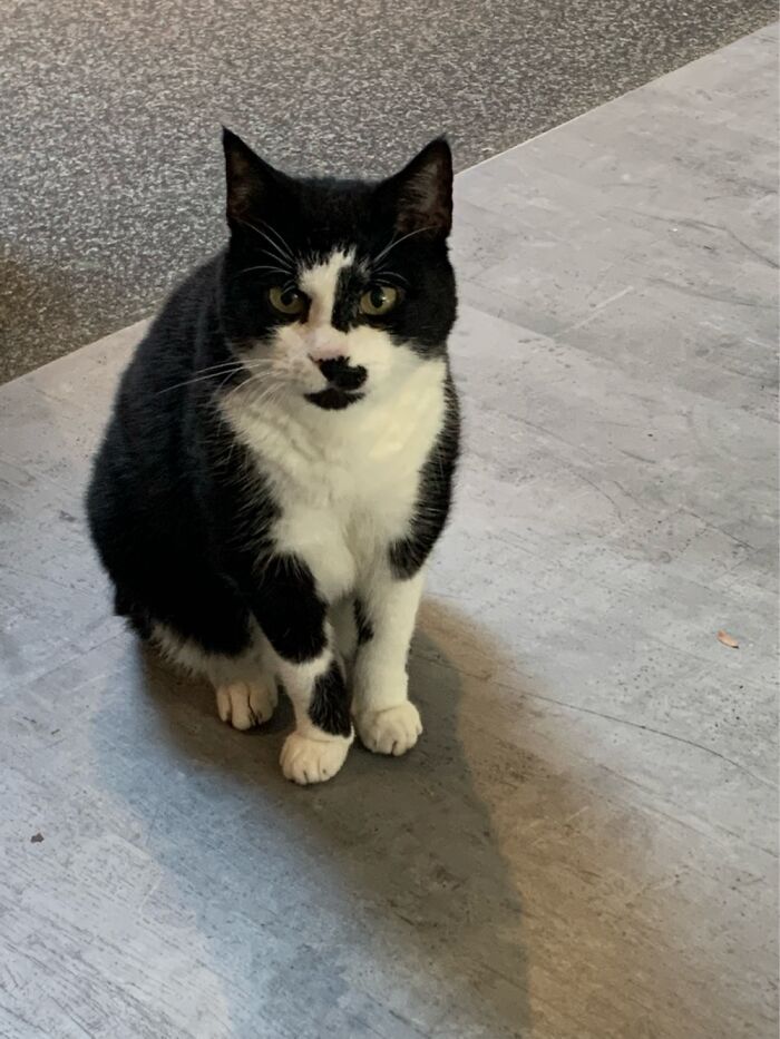 Rescued This Sweet Boy From Abuse Nearly 18 Years Ago, He Is Now A Slow, Deaf Lovebug ❣️