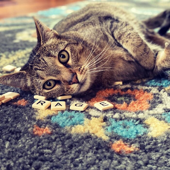 Don’t Be Fooled… She’s Not As Cute As She Looks!