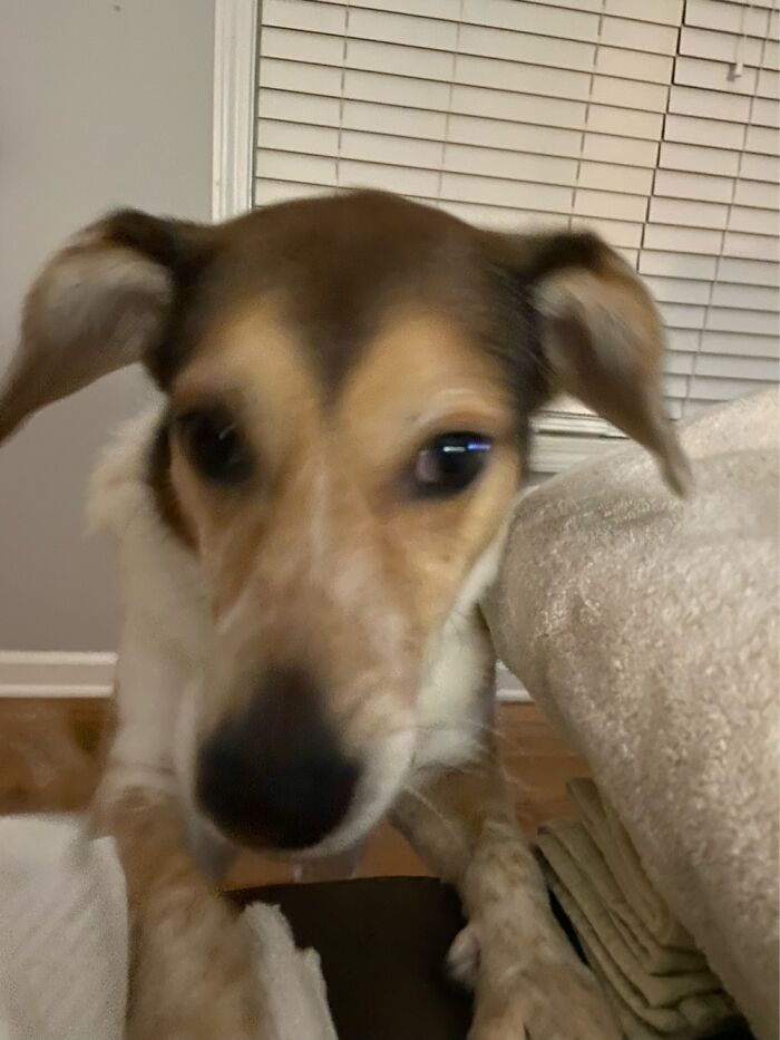 She Got So Excited Aww