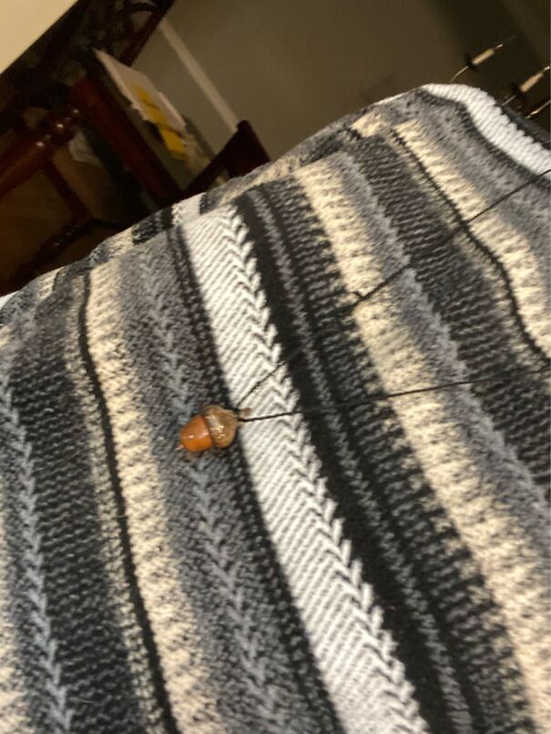 I Have This Necklace. It Has Little Crystals Inside