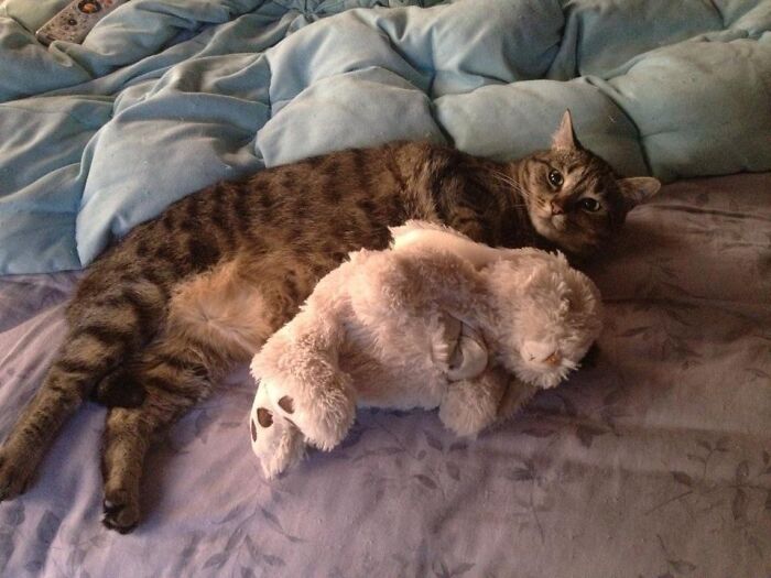 Oni With The Heating Pad Bunny