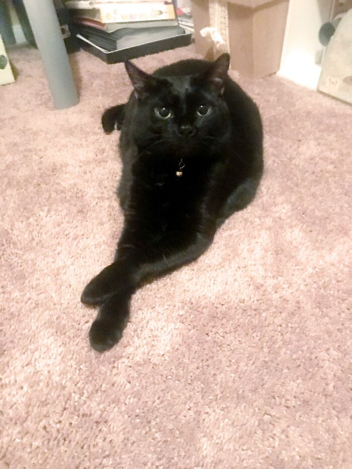 My Handsome Boy. (I Know This Is Late, But I Had To Post.)