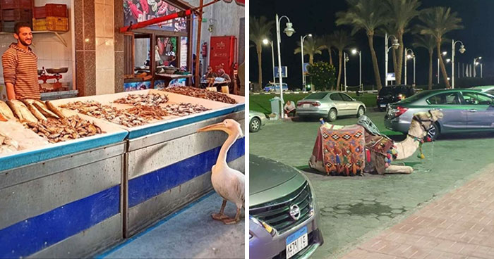 40 Pics From Egypt You Won’t See In Tourism Promotionals