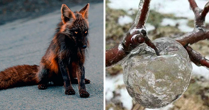 40 Interesting Facts About Practically Everything You Might Not Have Known, Shared By “Fact Point”