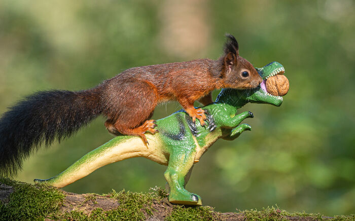 Squirrel Photographer Pays A Tribute To Steven Spielberg's Jurrasic Park