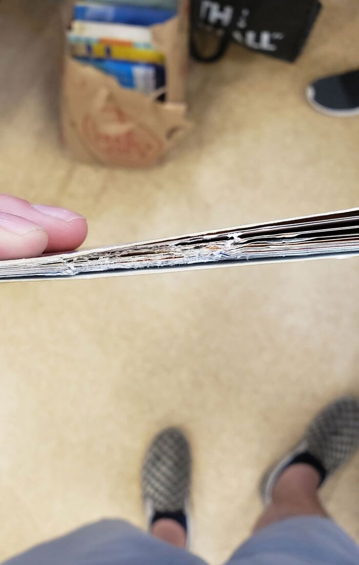 I Was Helping My Mom Clean Up Her Classroom (2nd Grade Teacher) And Someone Took A Bite Out Of This Book