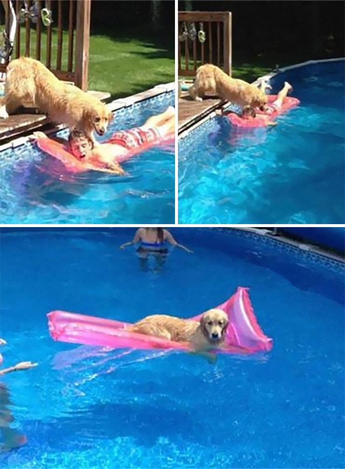 Kids-In-Predicaments