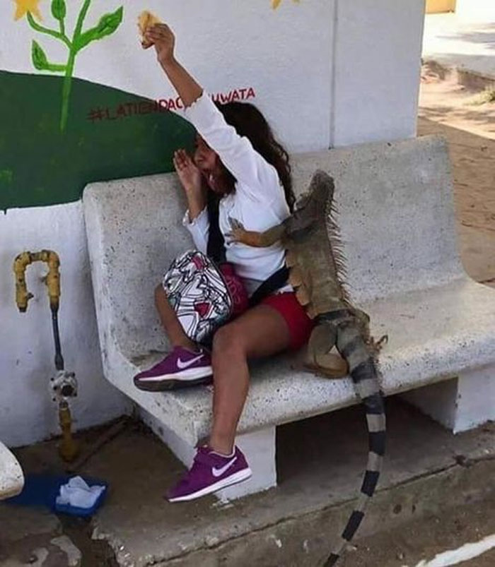 Kids-In-Predicaments