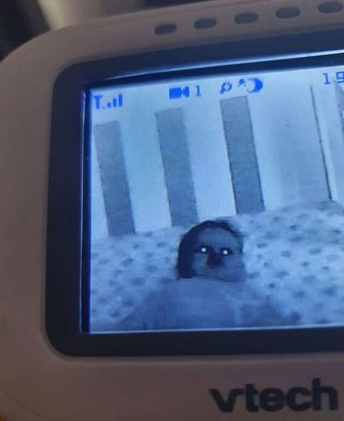 Kids-In-Predicaments