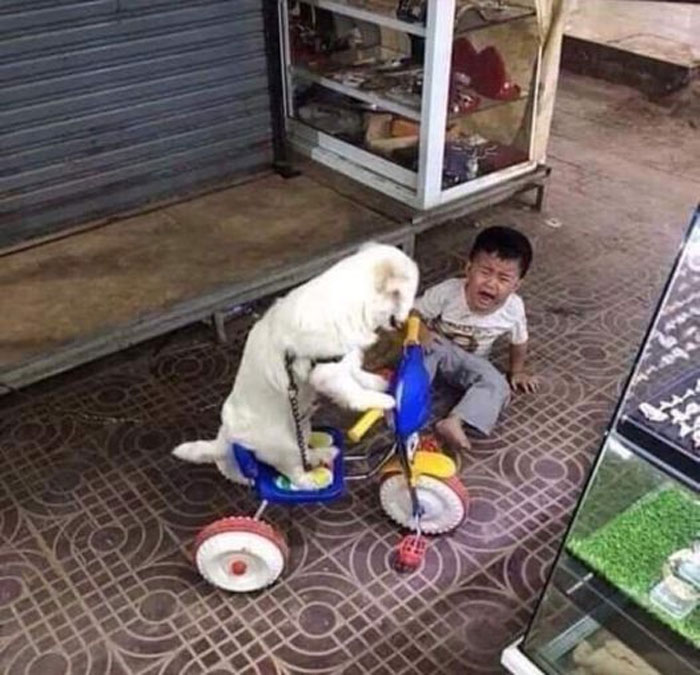 Kids-In-Predicaments