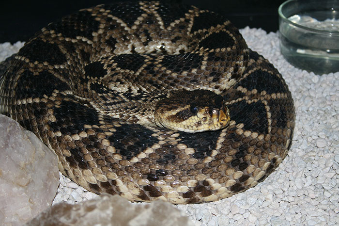 30 Potentially Life-Saving Tips If You Ever Find Yourself In A Dangerous Situation, As Shared By This Woman On TikTok