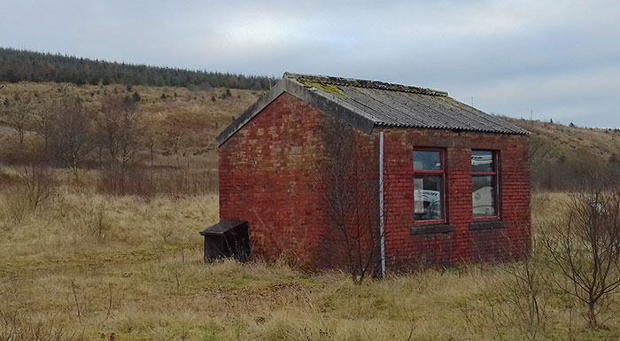 30 Potentially Life-Saving Tips If You Ever Find Yourself In A Dangerous Situation, As Shared By This Woman On TikTok