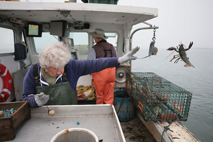 101 Y.O. Woman Is Photographed Throwing Away A Lobster Because It’s Too Small For Harvesting, And People Online Start Memeing It (30 Memes)