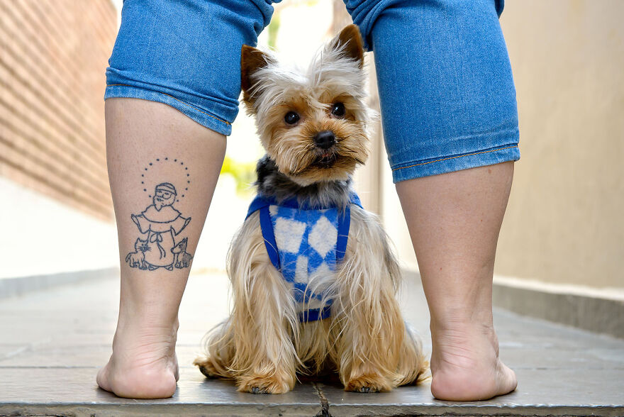 Saint Francis Of Assisi