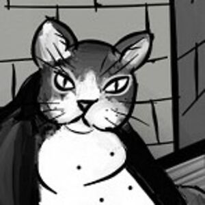 zrinyiborbala avatar