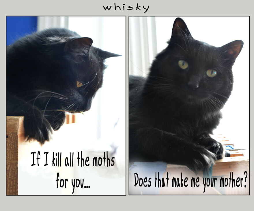 I Made Over 300 Comics This Year And Posted Every Single One, Here Are Some Random Samples For Some Laughs