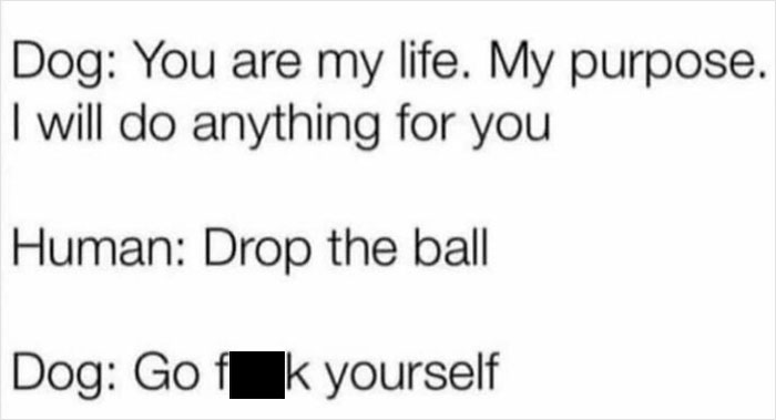 There’s No In Between @mypuppysays