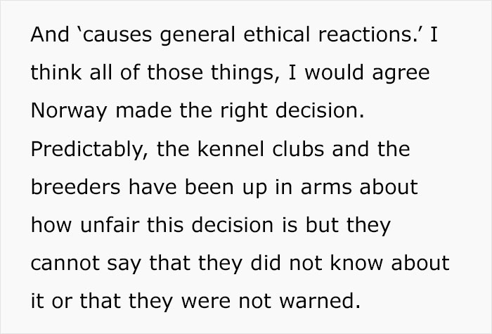Veterinarian Goes To TikTok To Explain The Deal With Norway Banning The Breeding Of English Bulldogs And Cavalier King Charles Spaniels