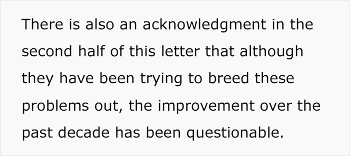 Veterinarian Goes To TikTok To Explain The Deal With Norway Banning The Breeding Of English Bulldogs And Cavalier King Charles Spaniels