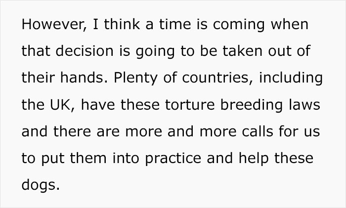 Veterinarian Goes To TikTok To Explain The Deal With Norway Banning The Breeding Of English Bulldogs And Cavalier King Charles Spaniels