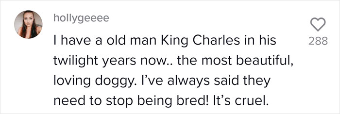 Veterinarian Goes To TikTok To Explain The Deal With Norway Banning The Breeding Of English Bulldogs And Cavalier King Charles Spaniels