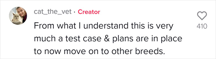 Veterinarian Goes To TikTok To Explain The Deal With Norway Banning The Breeding Of English Bulldogs And Cavalier King Charles Spaniels