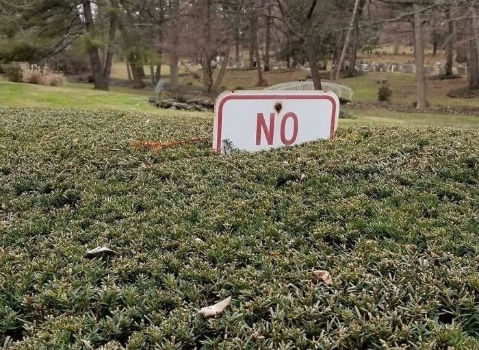 Not-Aesthetic-Things