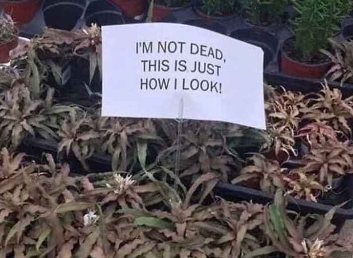 Not-Aesthetic-Things