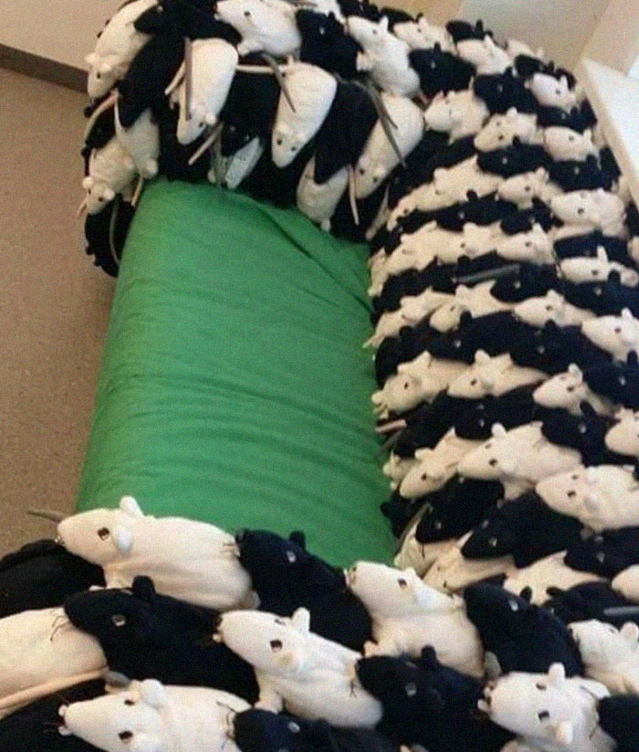 Not-Aesthetic-Things