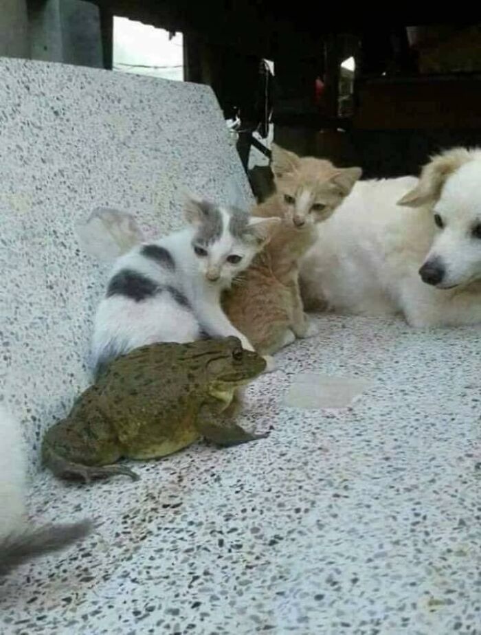 Not-Aesthetic-Things