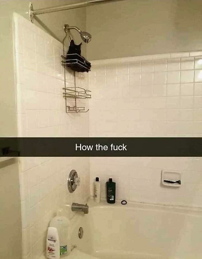 Not-Aesthetic-Things