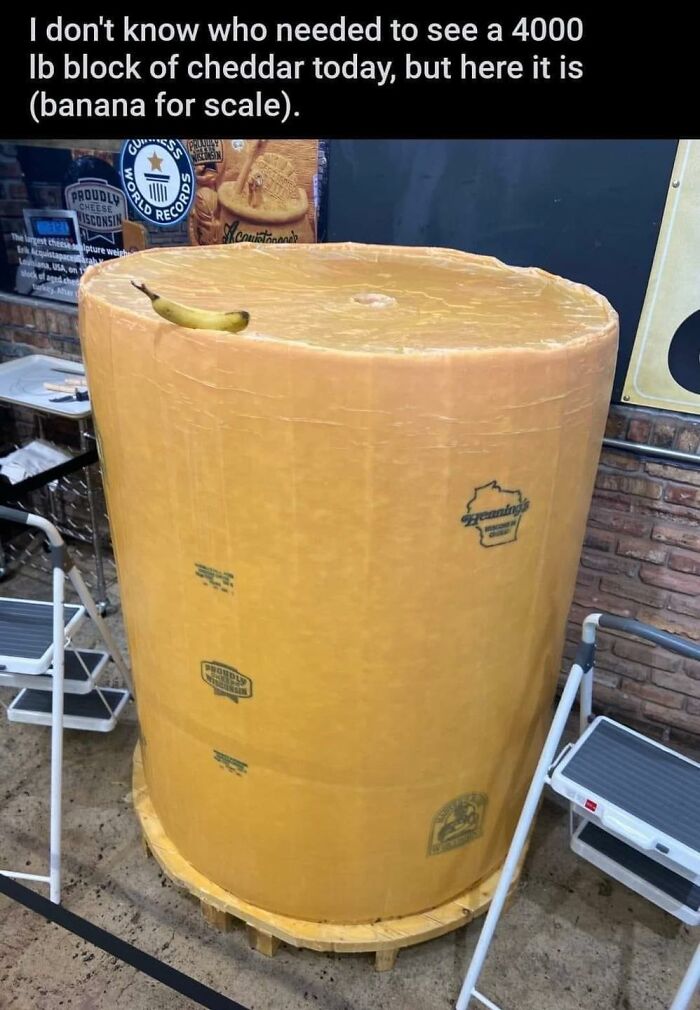 Not-Aesthetic-Things