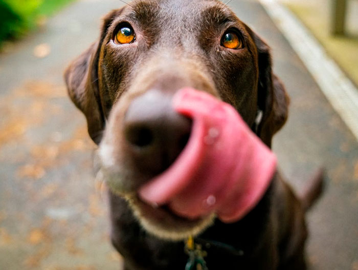 50 Obvious Things People Found Out Hilariously Late In Life