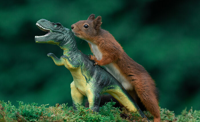 Squirrel Photographer Pays A Tribute To Steven Spielberg's Jurrasic Park