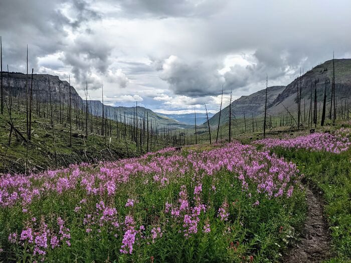 Trappers Lake Near Meeker, Co