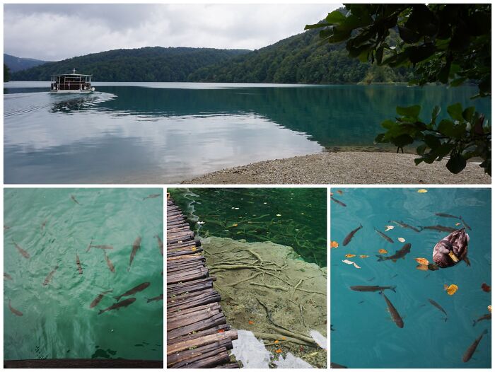 This Water Color Is Not Photoshopped! Croatia, Plitvickie Jezera Nature Park - The Clearest Water I Ever Saw, 25 Meters Deep In Some Places!