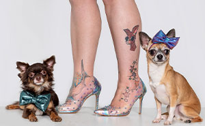 27 Photographs Proving That You Can Tell A Pet’s Owner By Their Feet