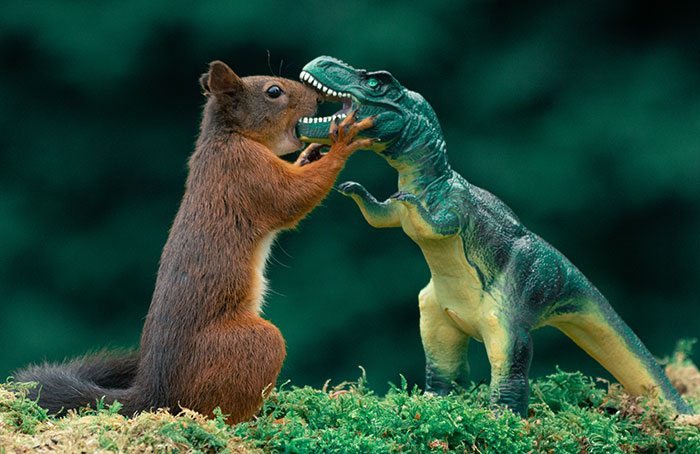 19 Pictures Of Squirrels Interacting With Dinosaurs Taken By Me