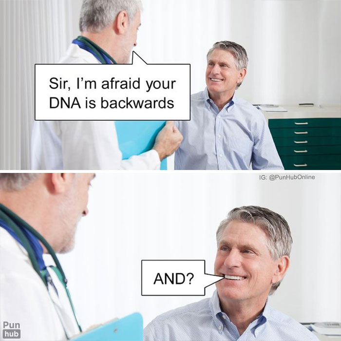 Puns-From-Punhub-Twitter