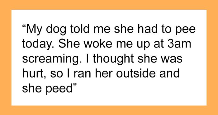 14 Heartwarming Instances Of Rescue Dogs Building Trust With Their Humans, Shared In This Online Thread