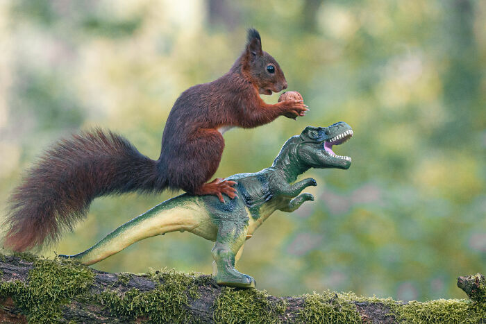 Squirrel Photographer Pays A Tribute To Steven Spielberg's Jurrasic Park