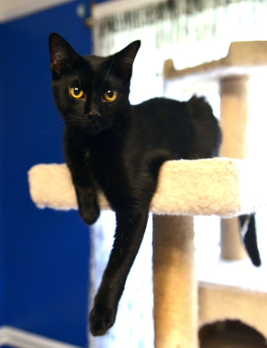 I Made Over 300 Comics This Year And Posted Every Single One, Here Are Some Random Samples For Some Laughs